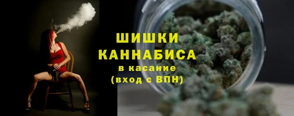 прущий лед Ельня