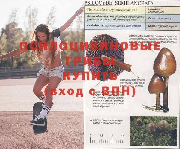 mix Елабуга
