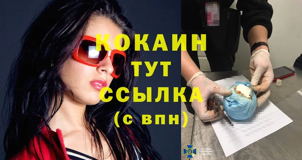 амф Елизово