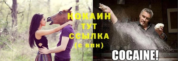 амф Елизово
