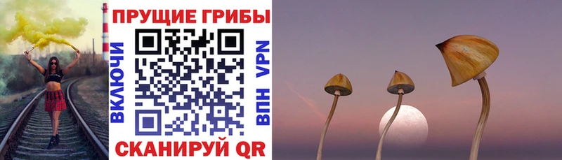 Галлюциногенные грибы прущие грибы  KRAKEN зеркало  Цоци-Юрт 